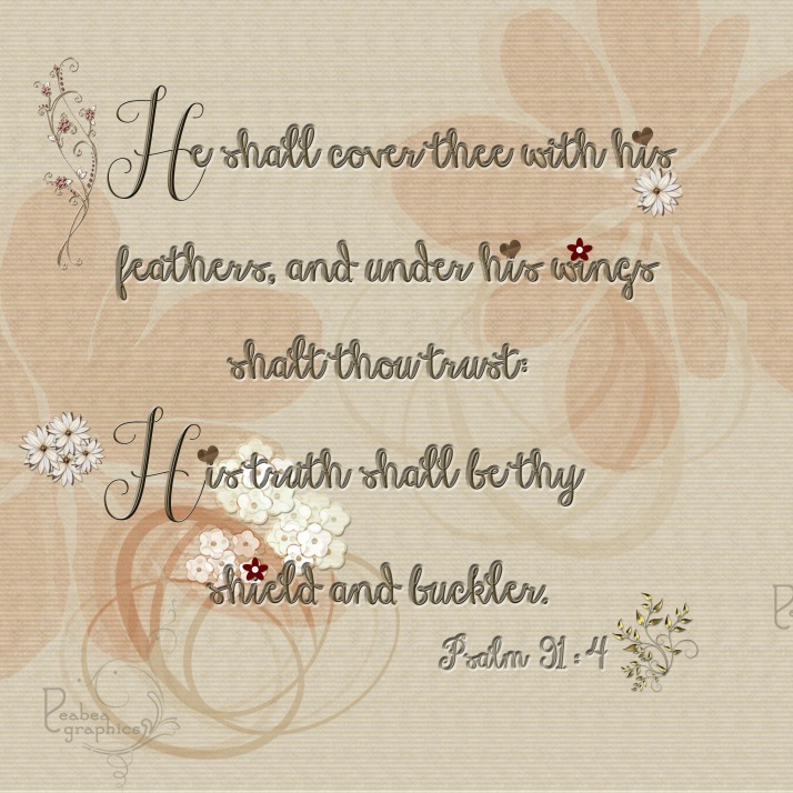 Psalm 91 4