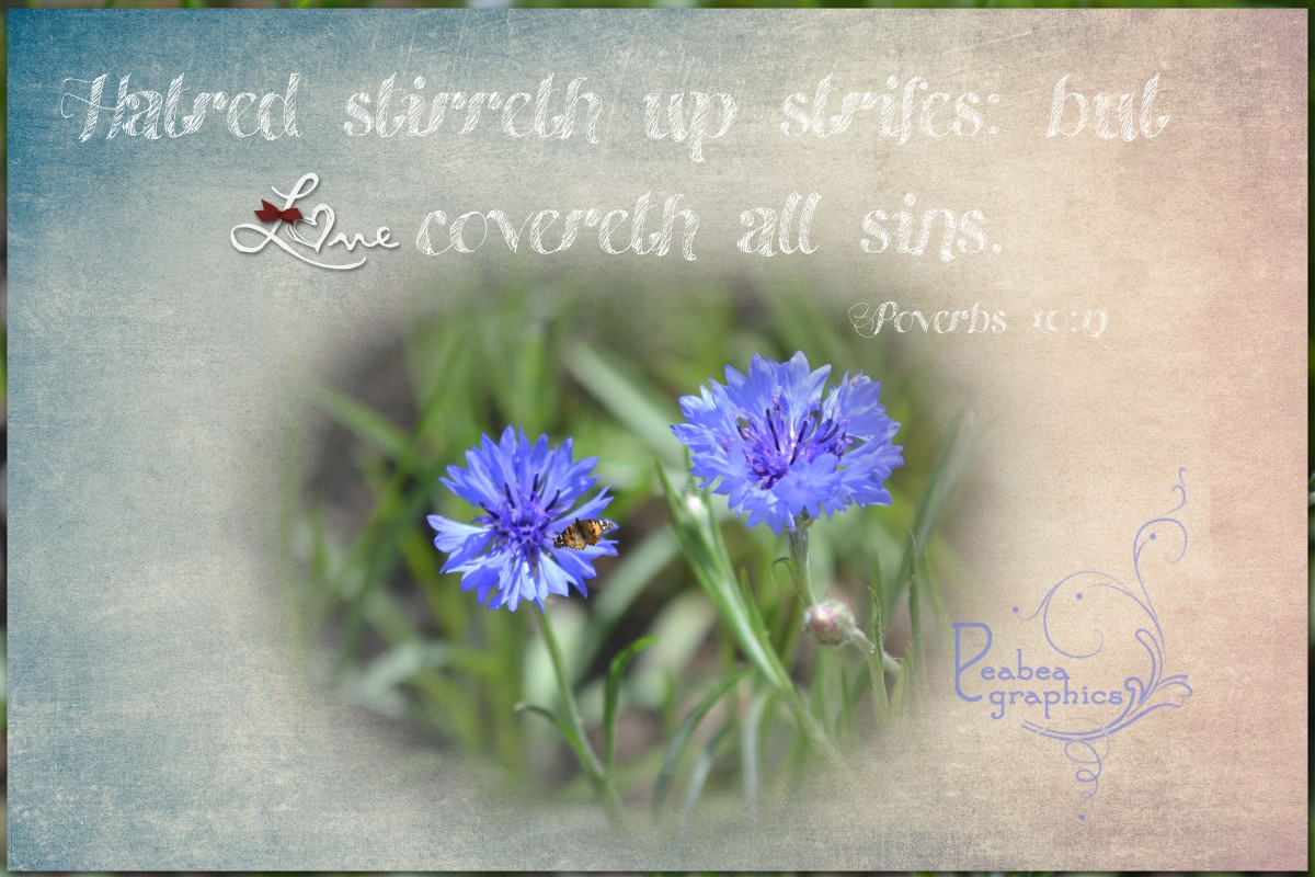 Proverbs 10 12 w texture for TT