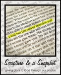 Scripture & A Snapshot
